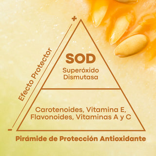 SODimel Suero Antioxidante | Serum Antiedad e Hidratante | Previene Arrugas y Daño Solar |  30g
