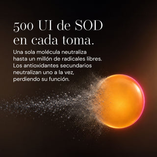 SODimel P Suplemento Alimenticio Capilar | Coadyuvante Anticaída y Salud del Folículo | SOD, Miliacina, Coenzima Q10, Hierro y Zinc | 60 Cápsulas
