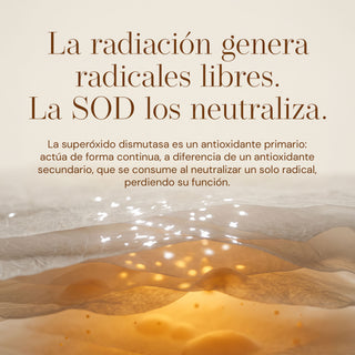 SODimel S Suplemento Alimenticio para Fotoprotección y Fotoenvejecimiento | SOD y Polypodium | 60 Cápsulas