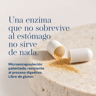 SODimel P Suplemento Alimenticio Capilar | Coadyuvante Anticaída y Salud del Folículo | SOD, Miliacina, Coenzima Q10, Hierro y Zinc | 60 Cápsulas