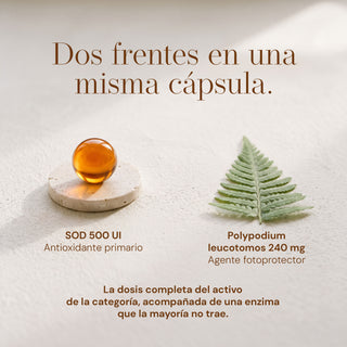 SODimel S Suplemento Alimenticio para Fotoprotección y Fotoenvejecimiento | SOD y Polypodium | 60 Cápsulas