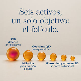 SODimel P Suplemento Alimenticio Capilar | Coadyuvante Anticaída y Salud del Folículo | SOD, Miliacina, Coenzima Q10, Hierro y Zinc | 60 Cápsulas
