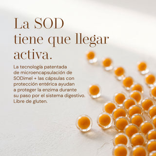 SODimel S Suplemento Alimenticio para Fotoprotección y Fotoenvejecimiento | SOD y Polypodium | 60 Cápsulas
