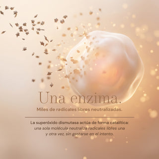 SODimel Sticks | Defensa Antioxidante y Protección Celular | Formato Soluble con Extracto de Melón y Sin Azúcar | 30 Unidades