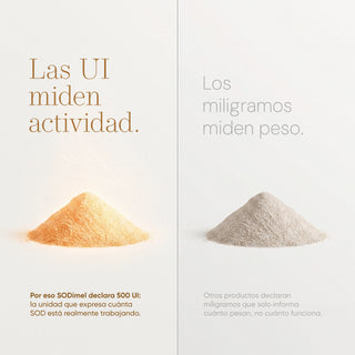 SODimel Sticks | Defensa Antioxidante y Protección Celular | Formato Soluble con Extracto de Melón y Sin Azúcar | 30 Unidades