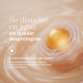 SODimel Sticks | Defensa Antioxidante y Protección Celular | Formato Soluble con Extracto de Melón y Sin Azúcar | 30 Unidades
